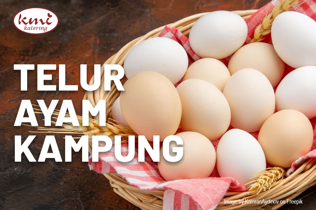 Pengertian Telur Ayam Kampung