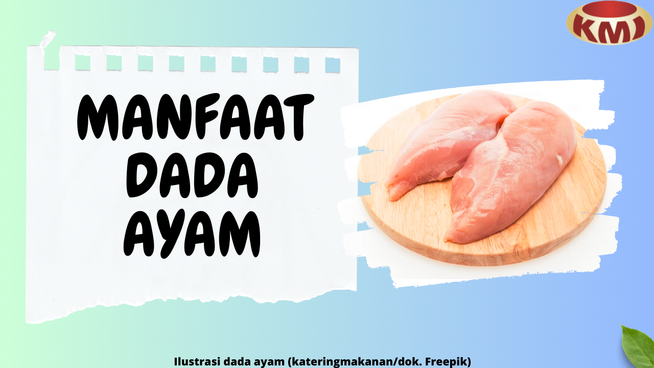 5 Manfaat Dada Ayam: Sumber Protein Berkualitas Tinggi