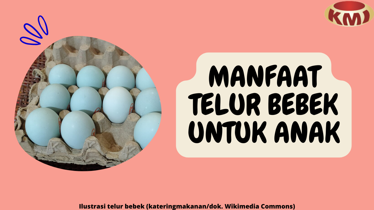 8 Manfaat Telur Bebek yang Akan Membantu Tumbuh Kembang Anak